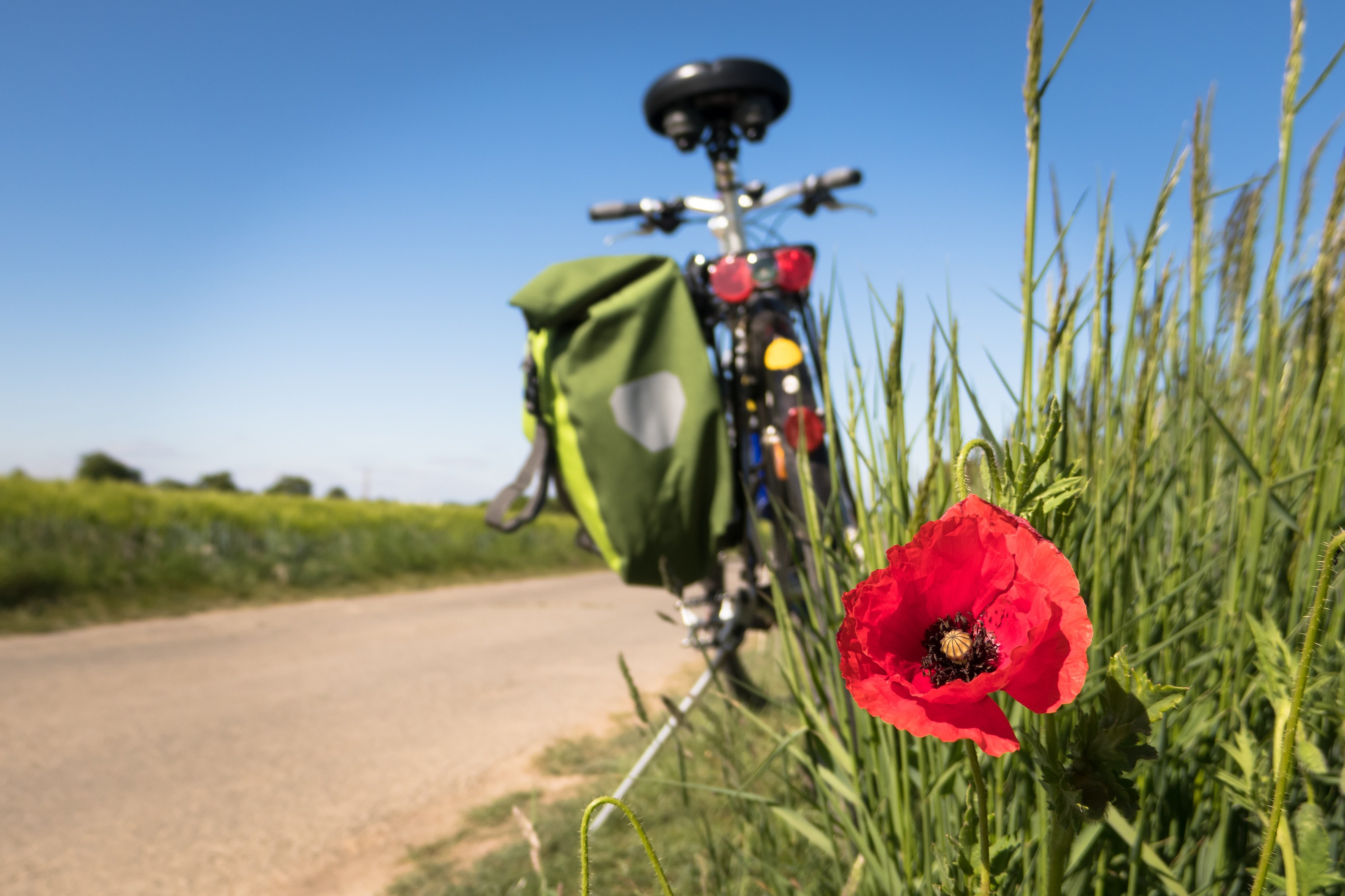 Fahrrad steht am Grünstreifen