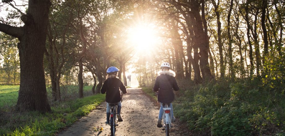 Zwei Radfahrerinnen auf einem Waldweg